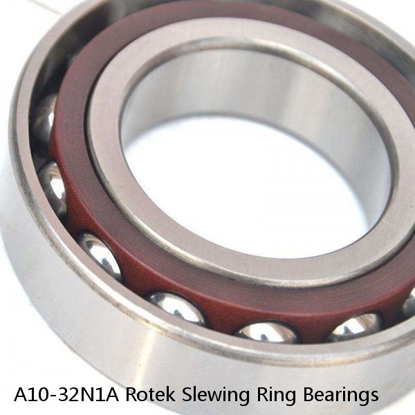 A10-32N1A Rotek Slewing Ring Bearings