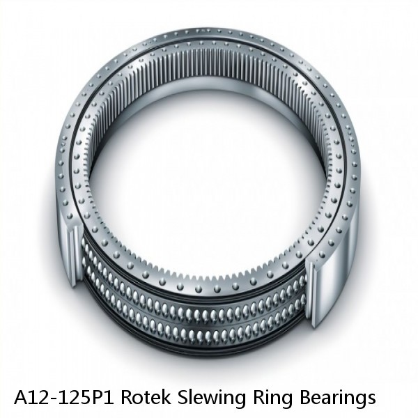 A12-125P1 Rotek Slewing Ring Bearings