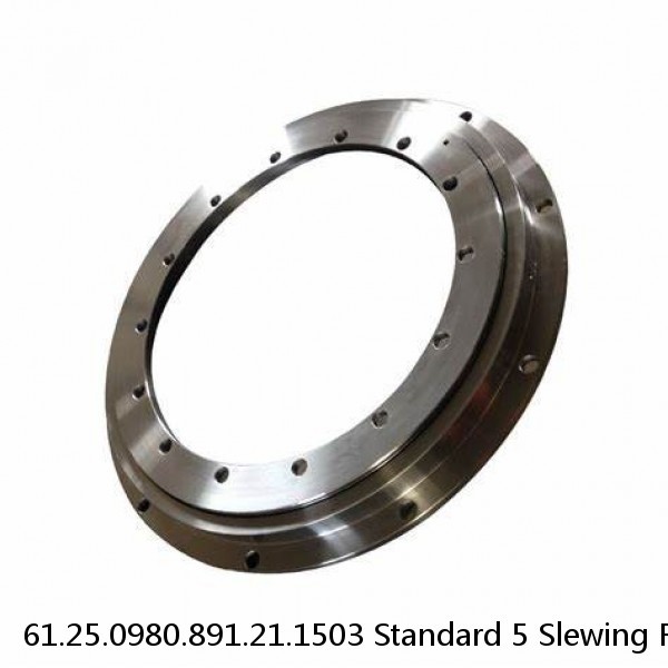 61.25.0980.891.21.1503 Standard 5 Slewing Ring Bearings