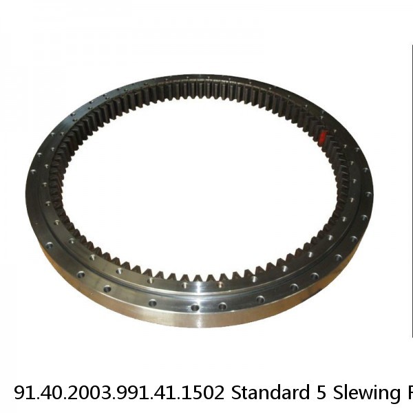 91.40.2003.991.41.1502 Standard 5 Slewing Ring Bearings