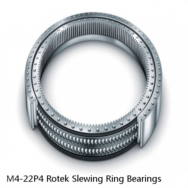 M4-22P4 Rotek Slewing Ring Bearings