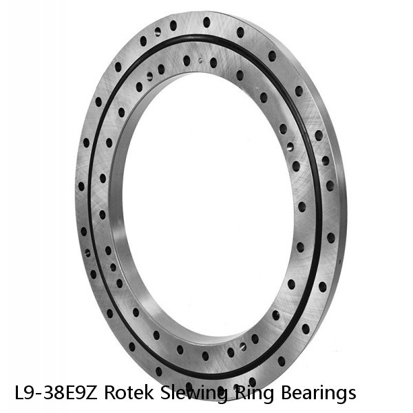 L9-38E9Z Rotek Slewing Ring Bearings