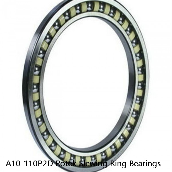 A10-110P2D Rotek Slewing Ring Bearings