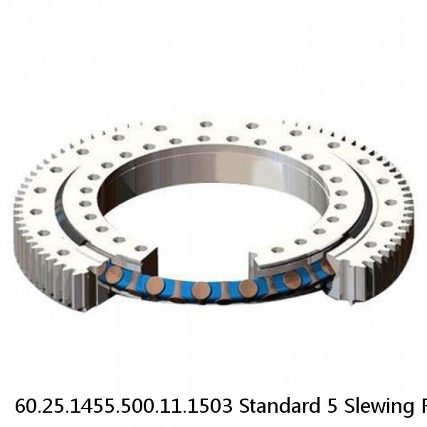 60.25.1455.500.11.1503 Standard 5 Slewing Ring Bearings