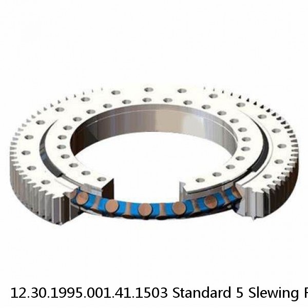 12.30.1995.001.41.1503 Standard 5 Slewing Ring Bearings