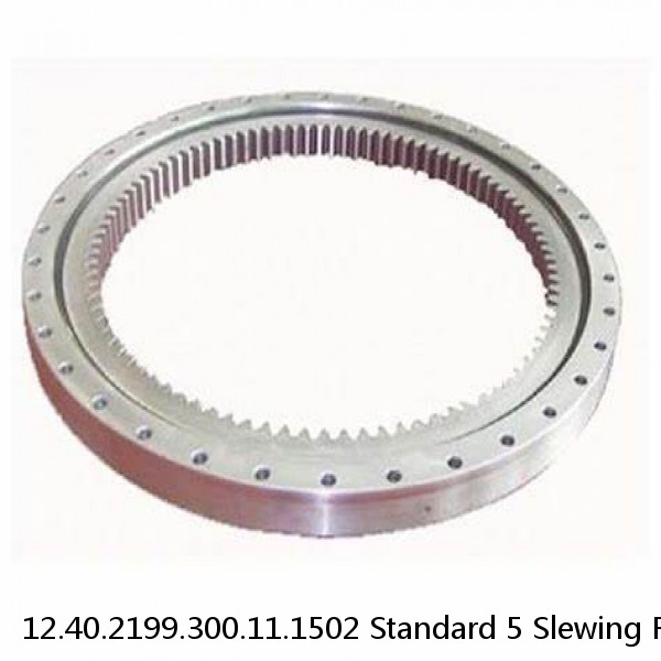 12.40.2199.300.11.1502 Standard 5 Slewing Ring Bearings