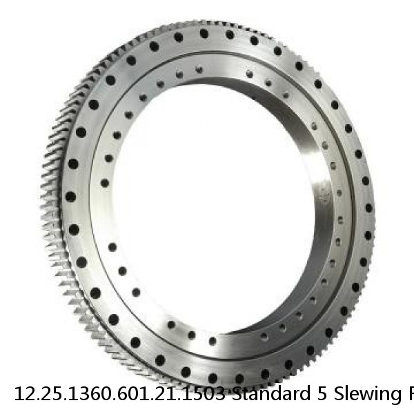 12.25.1360.601.21.1503 Standard 5 Slewing Ring Bearings