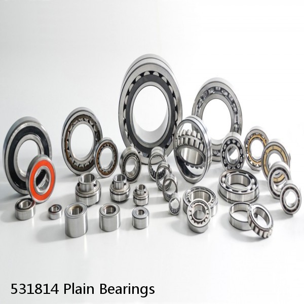 531814 Plain Bearings